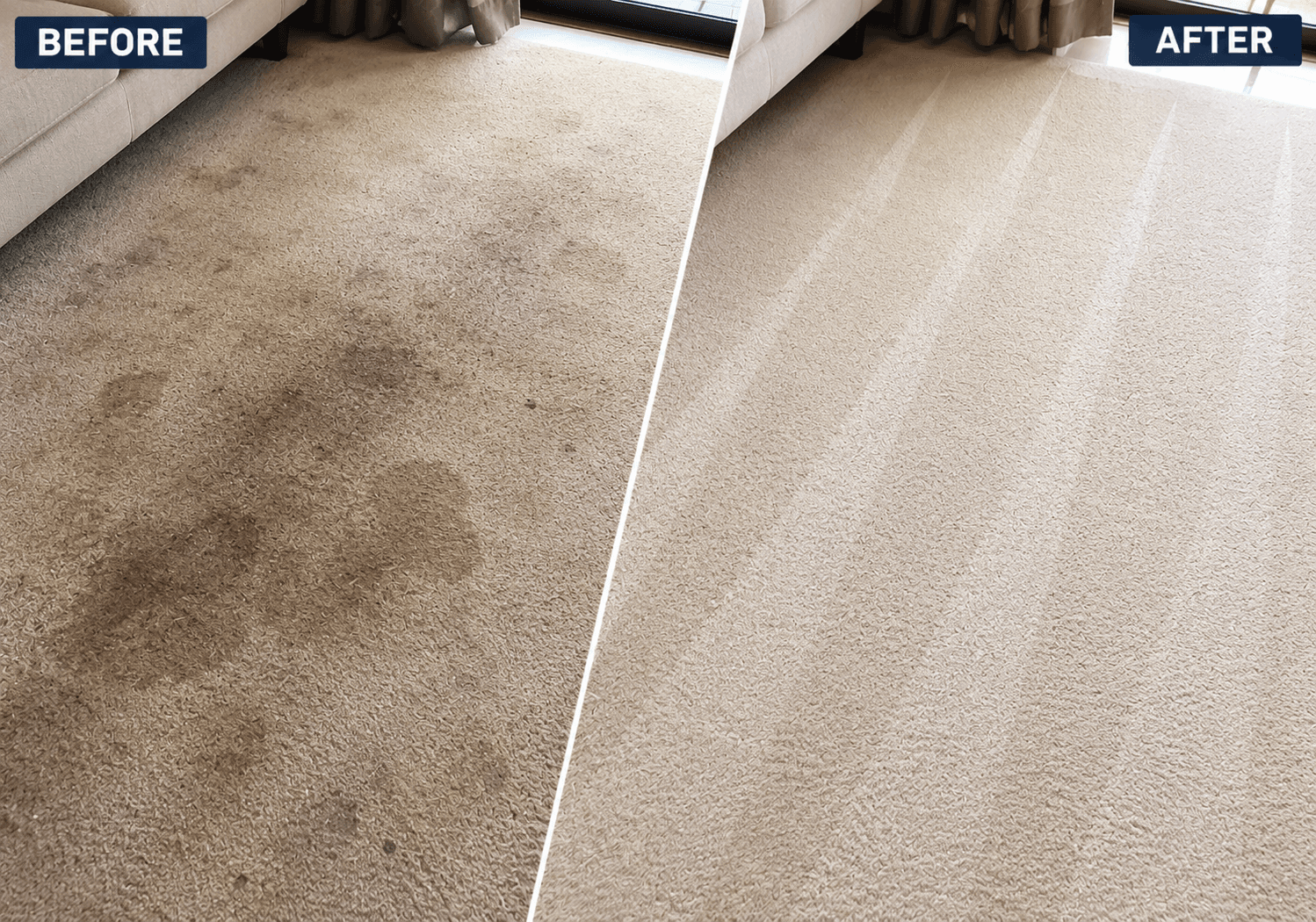 Carpet Cleaning