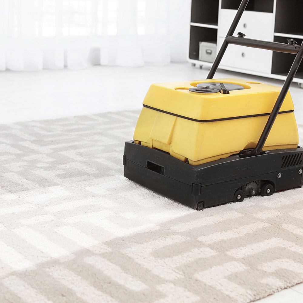 Why Professional Carpet Cleaning Matters