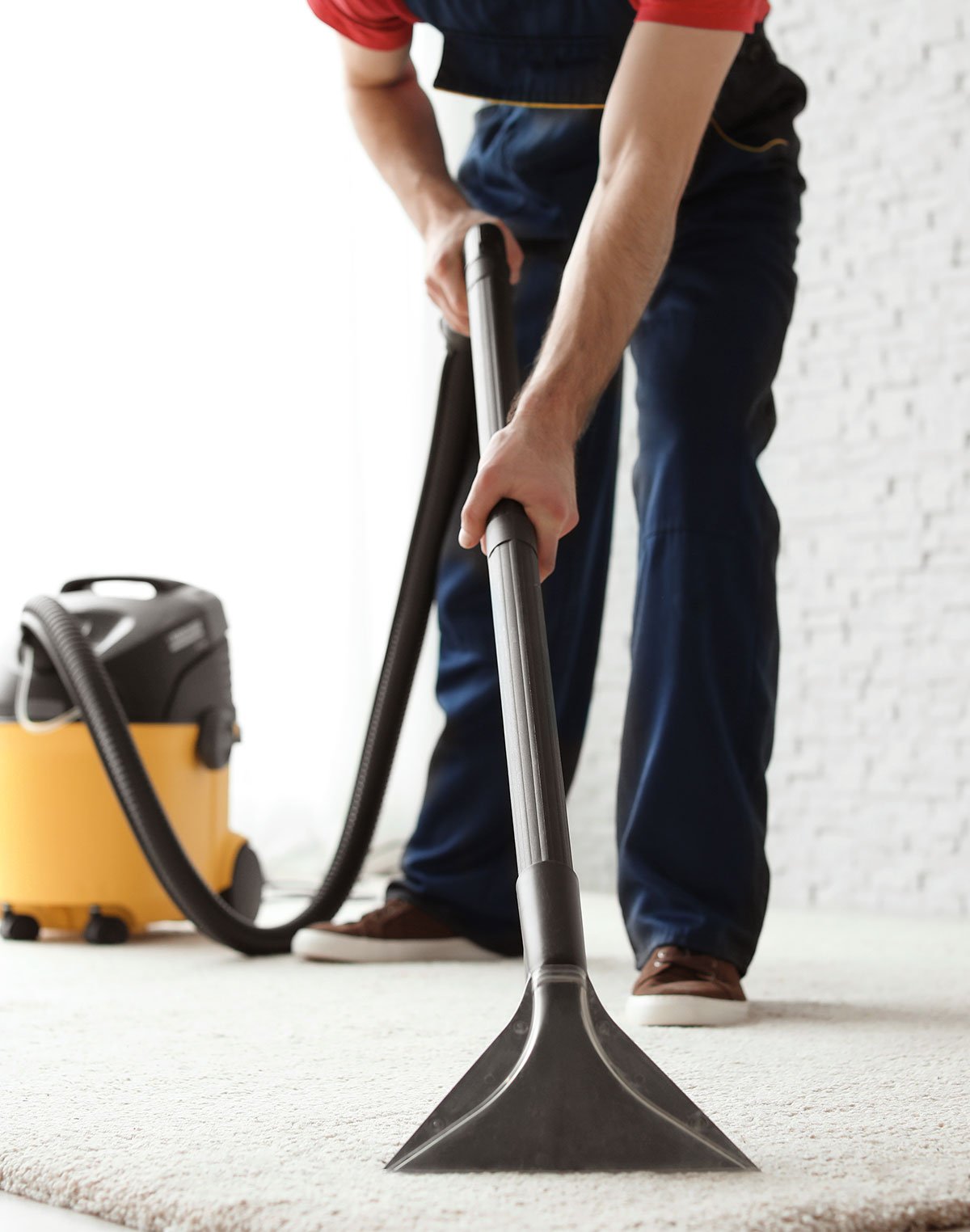 Professional Carpet Cleaning Services